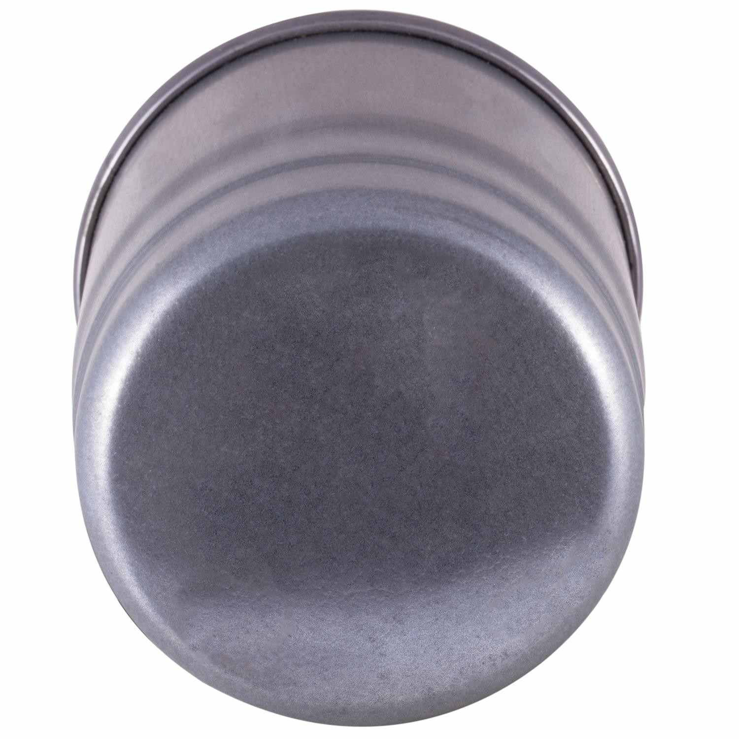 Pronto Fuel Filter PF99181