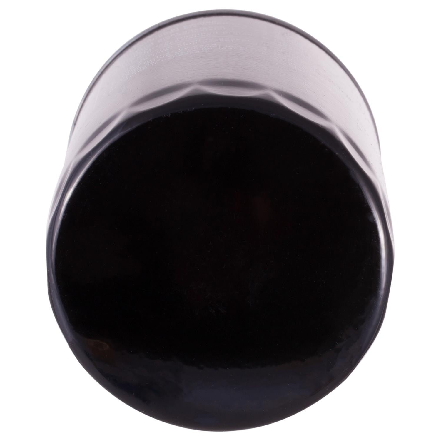 Pronto Engine Oil Filter PG99358EX