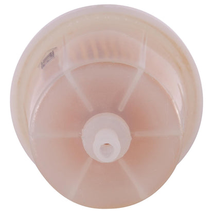 Pronto Fuel Filter PL1/4