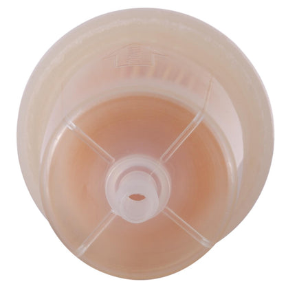 Pronto Fuel Filter PL5/16