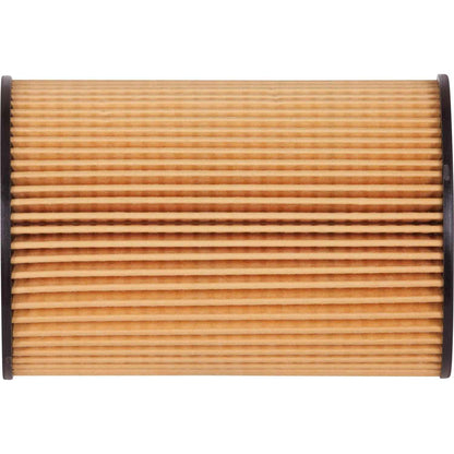 Pronto Engine Oil Filter PO5904EX