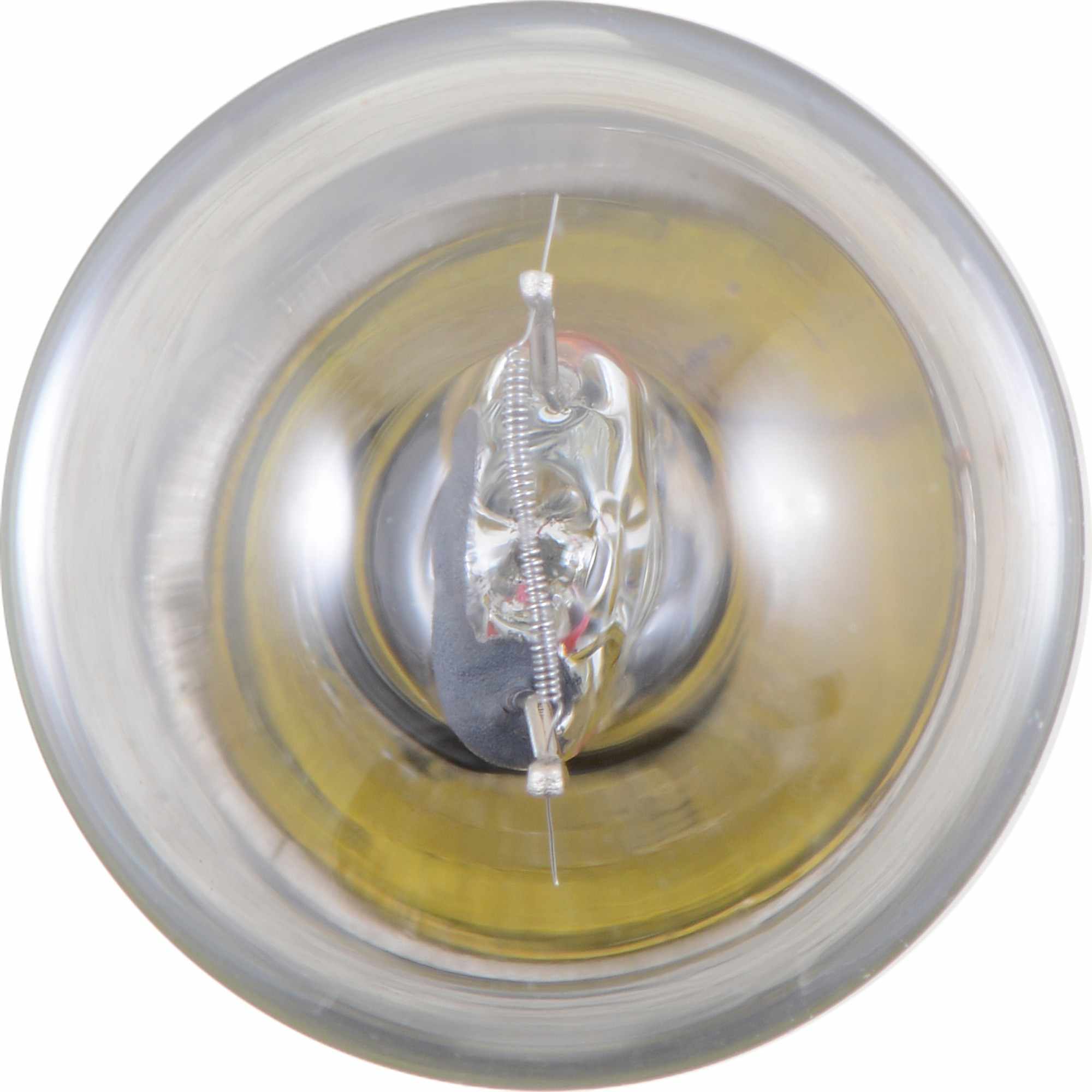 Philips Tail Light Bulb 1003LLB2
