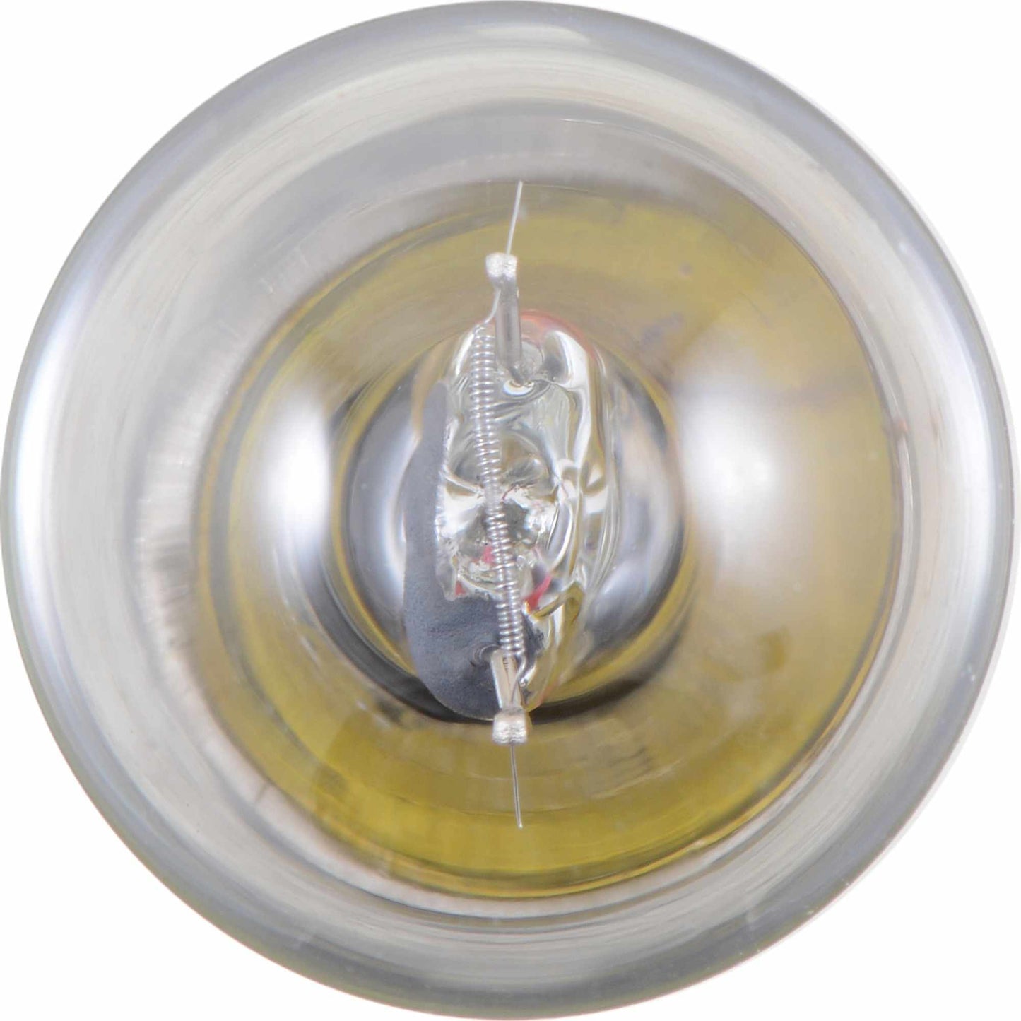 Philips Tail Light Bulb 1003LLB2
