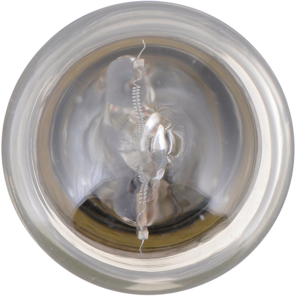 Philips Tail Light Bulb 1003LLCP