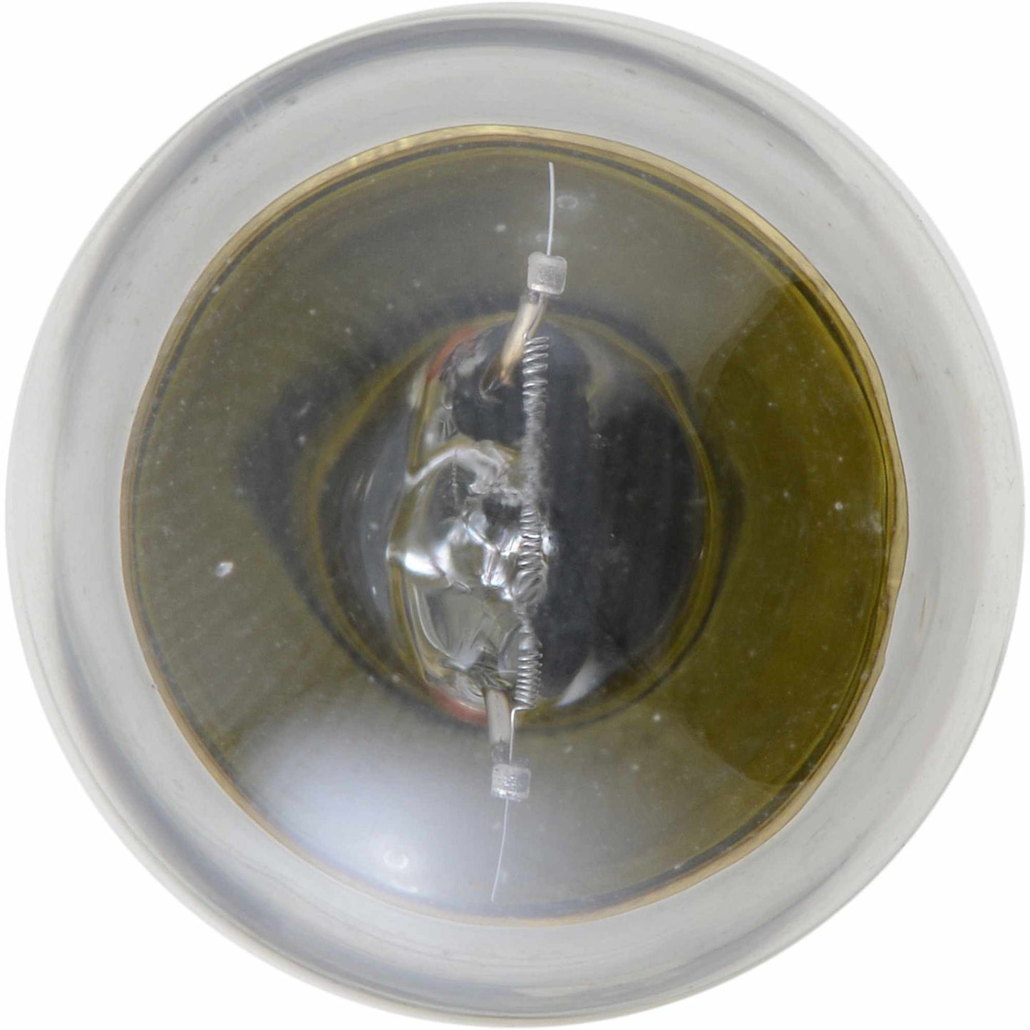 Philips Tail Light Bulb 1004B2