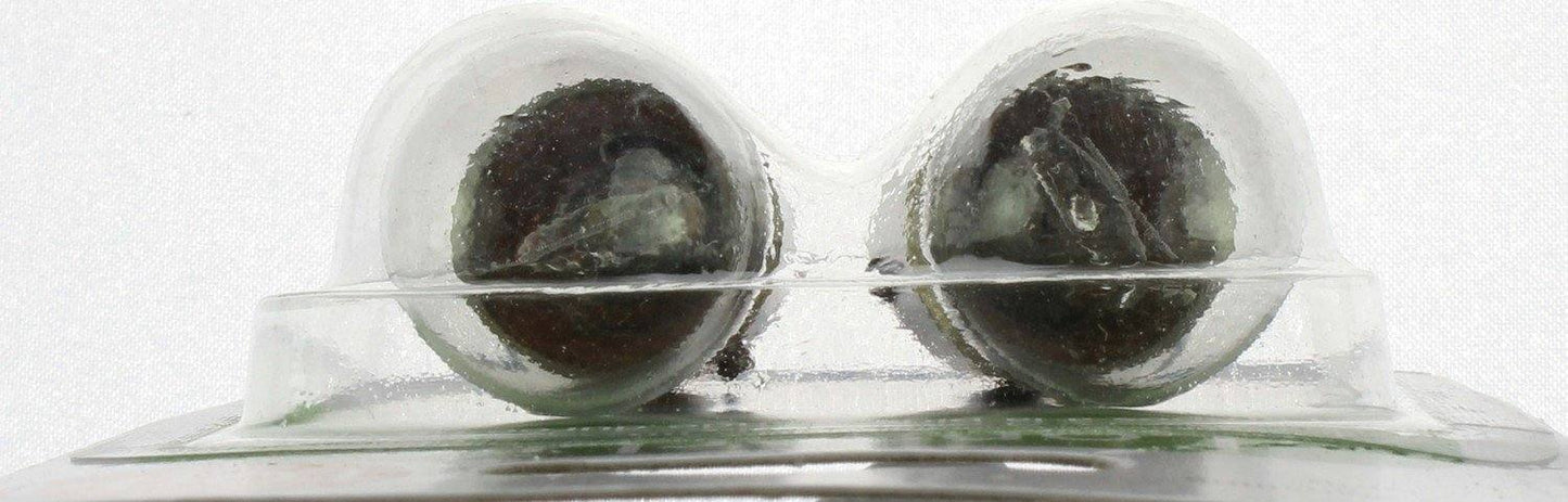 Philips Tail Light Bulb 1004LLB2