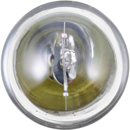 Philips Tail Light Bulb 1004LLB2