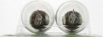 Philips Tail Light Bulb 1073LLB2