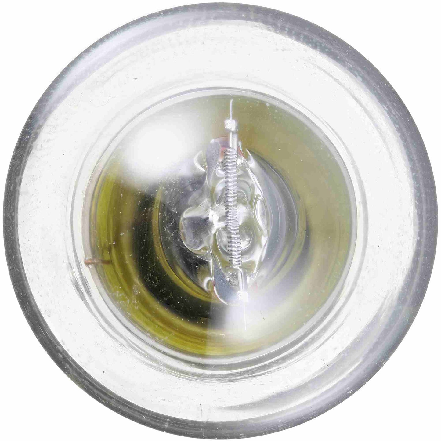 Philips Tail Light Bulb 1073LLB2