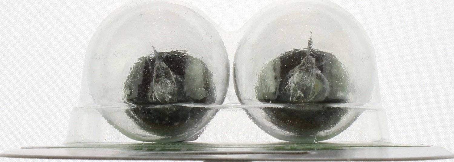 Philips Tail Light Bulb 1129LLB2