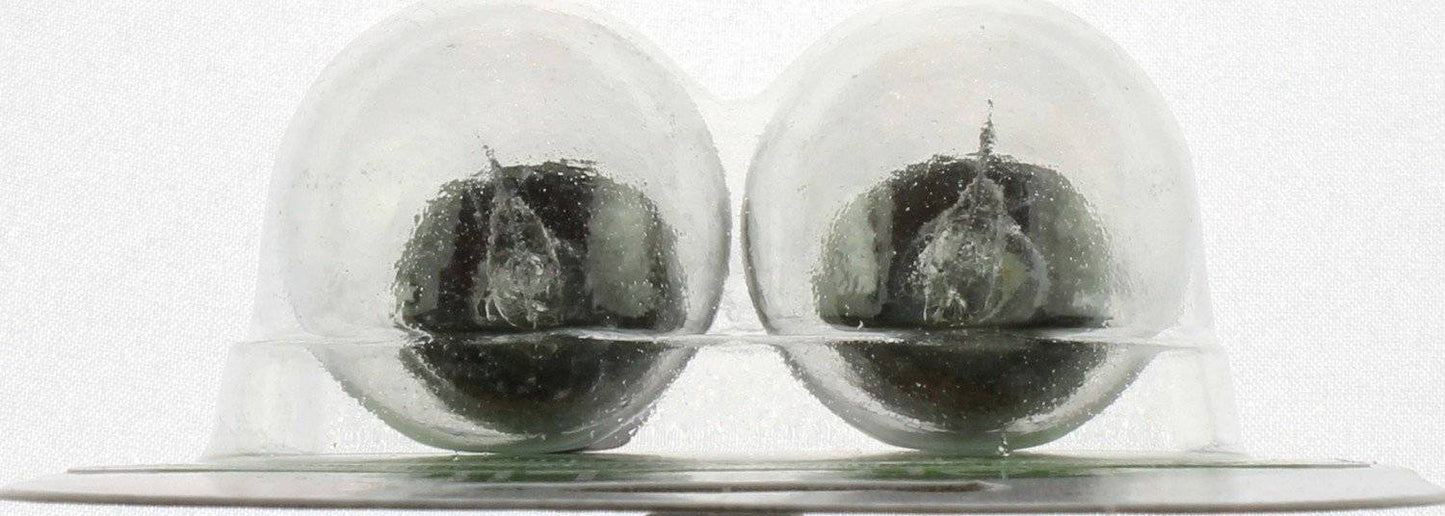 Philips Tail Light Bulb 1129LLB2