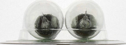 Philips Tail Light Bulb 1129LLB2