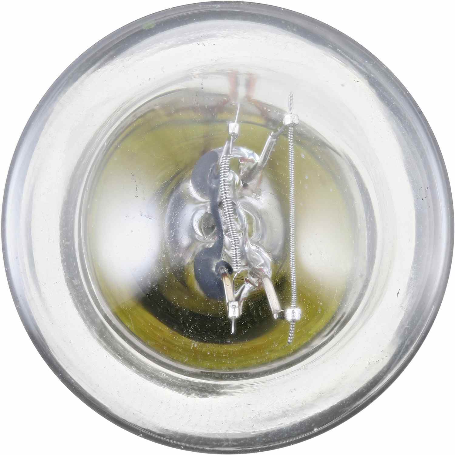 Philips Tail Light Bulb 1176LLB2