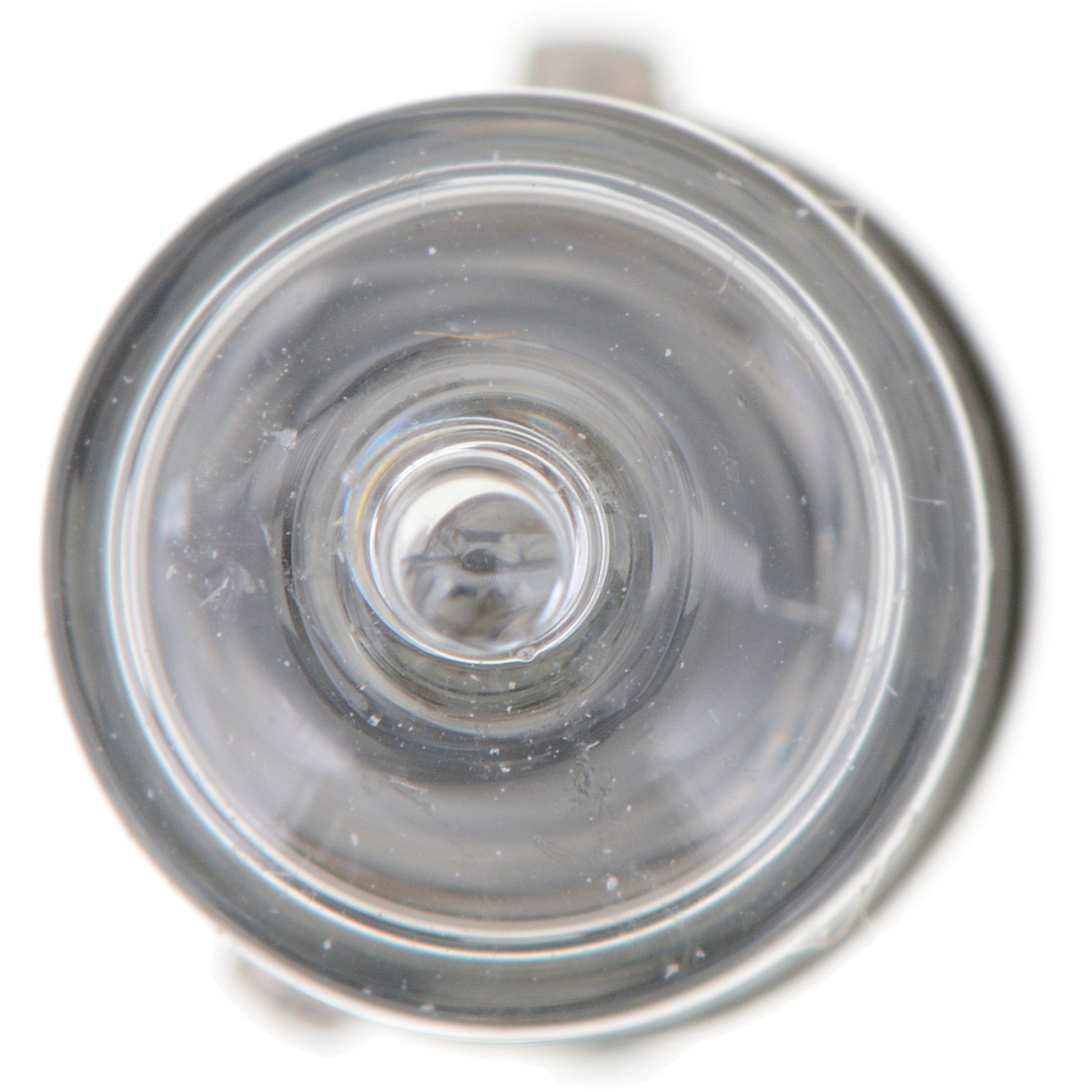 Philips Lighting Turn Signal / Parking Light Bulb 12036CP image 3