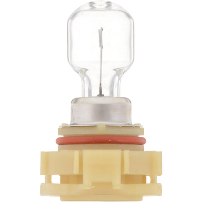 Philips Fog Light Bulb 12086FFB1