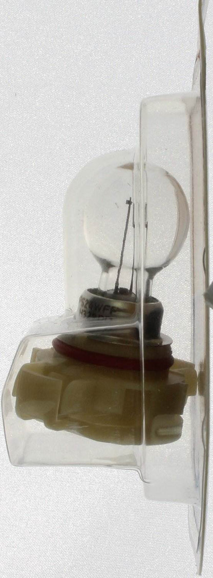 Philips Fog Light Bulb 12086FFB1