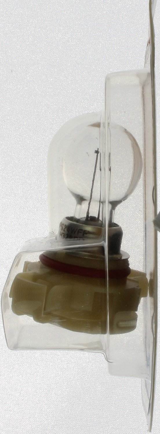 Philips Fog Light Bulb 12086FFB1