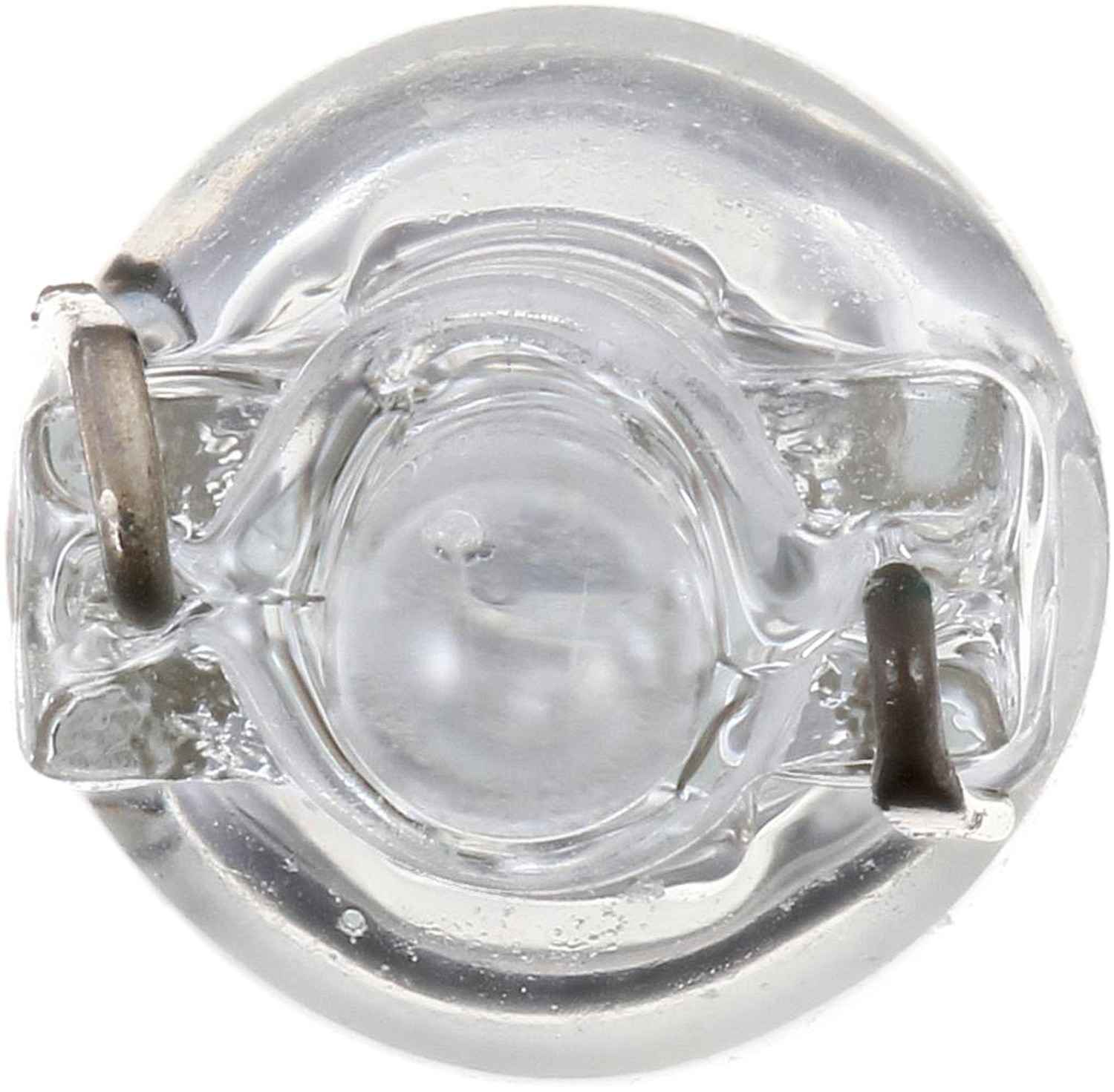 Philips Tail Light Bulb 12516LLB2