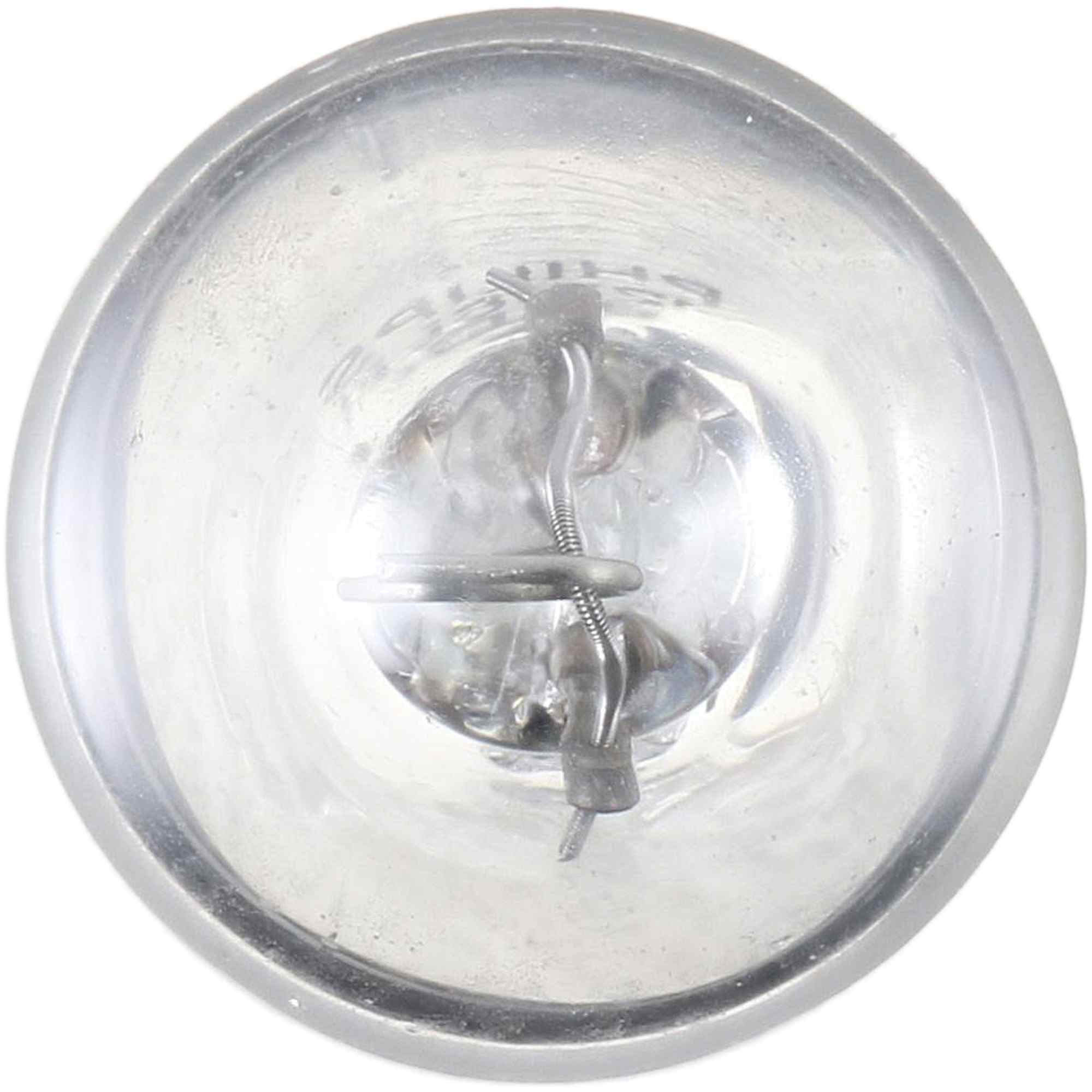 Philips Tail Light Bulb 12516LLB2