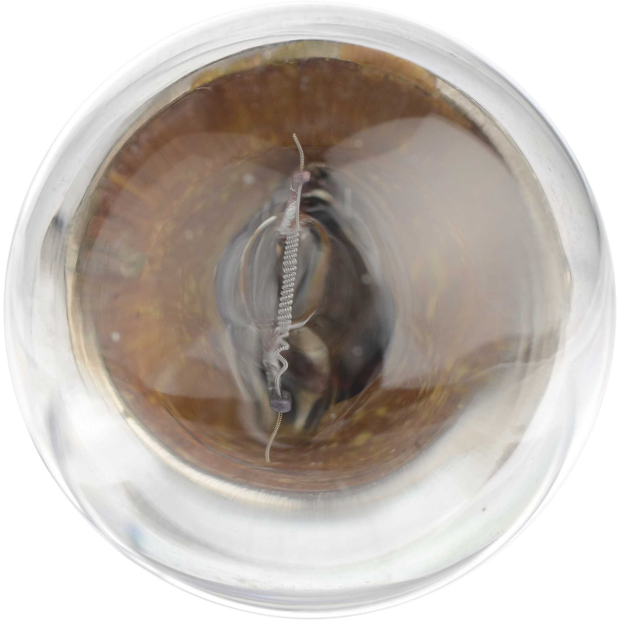 Philips Turn Signal / Parking Light Bulb 1251CP