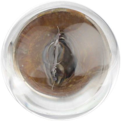 Philips Turn Signal / Parking Light Bulb 1251CP