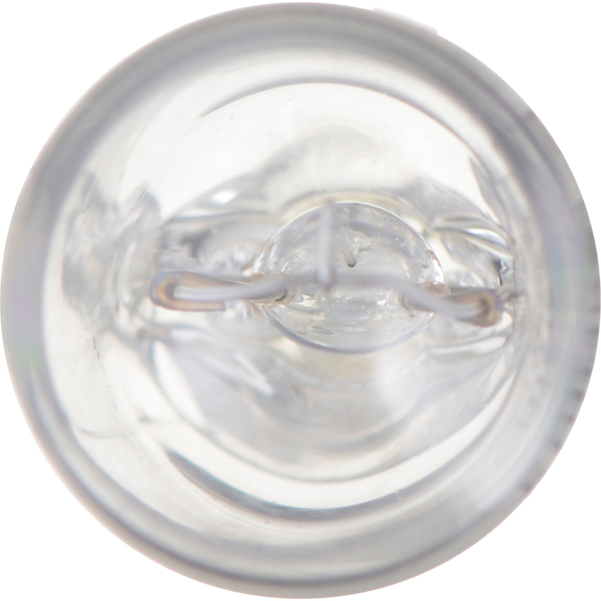 Philips Multi-Purpose Light Bulb 168CP