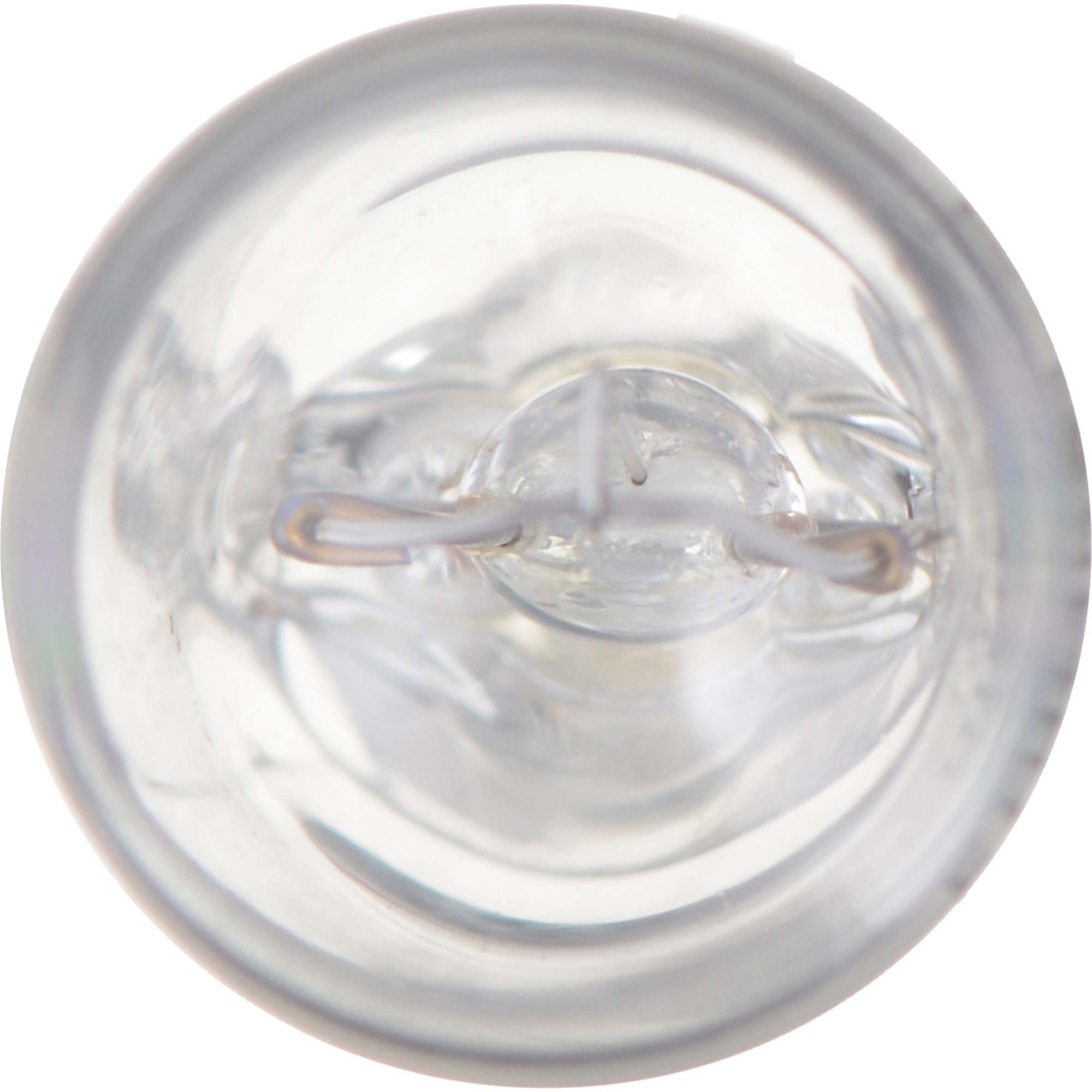 Philips Multi-Purpose Light Bulb 168CP