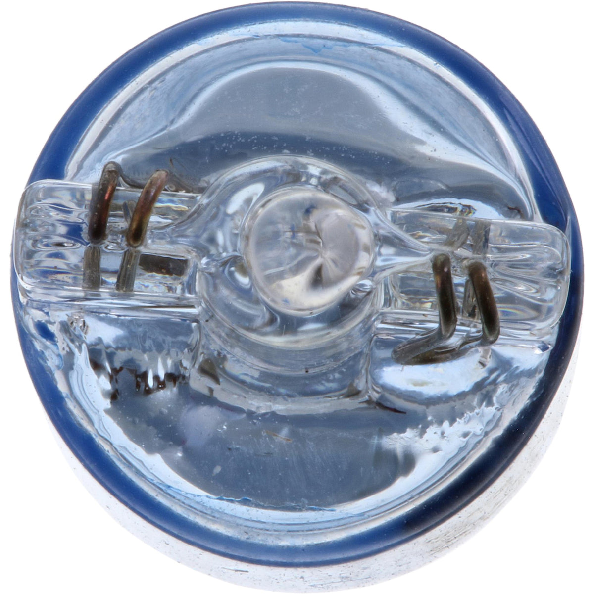 Philips Multi-Purpose Light Bulb 168CVB2