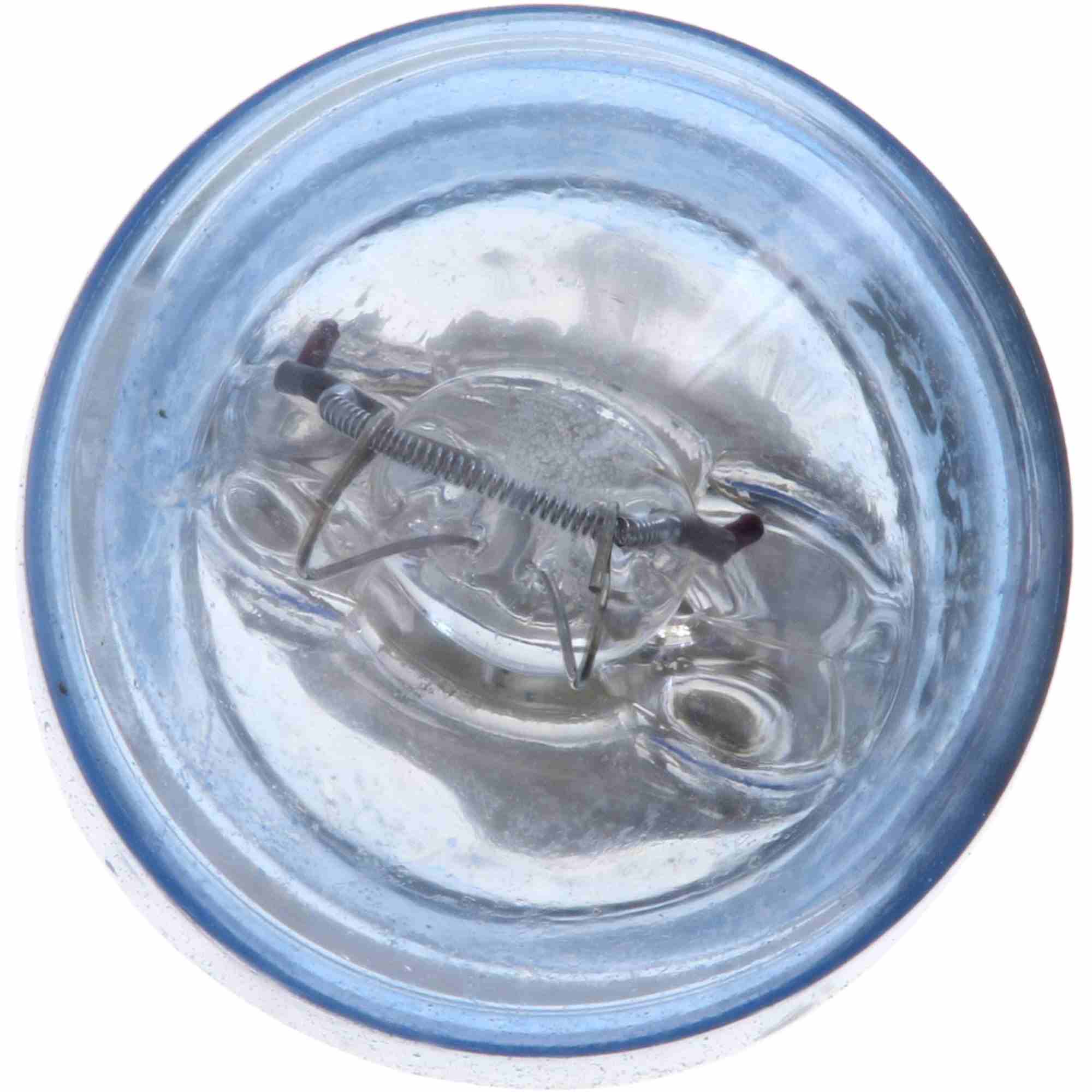 Philips Multi-Purpose Light Bulb 168CVB2