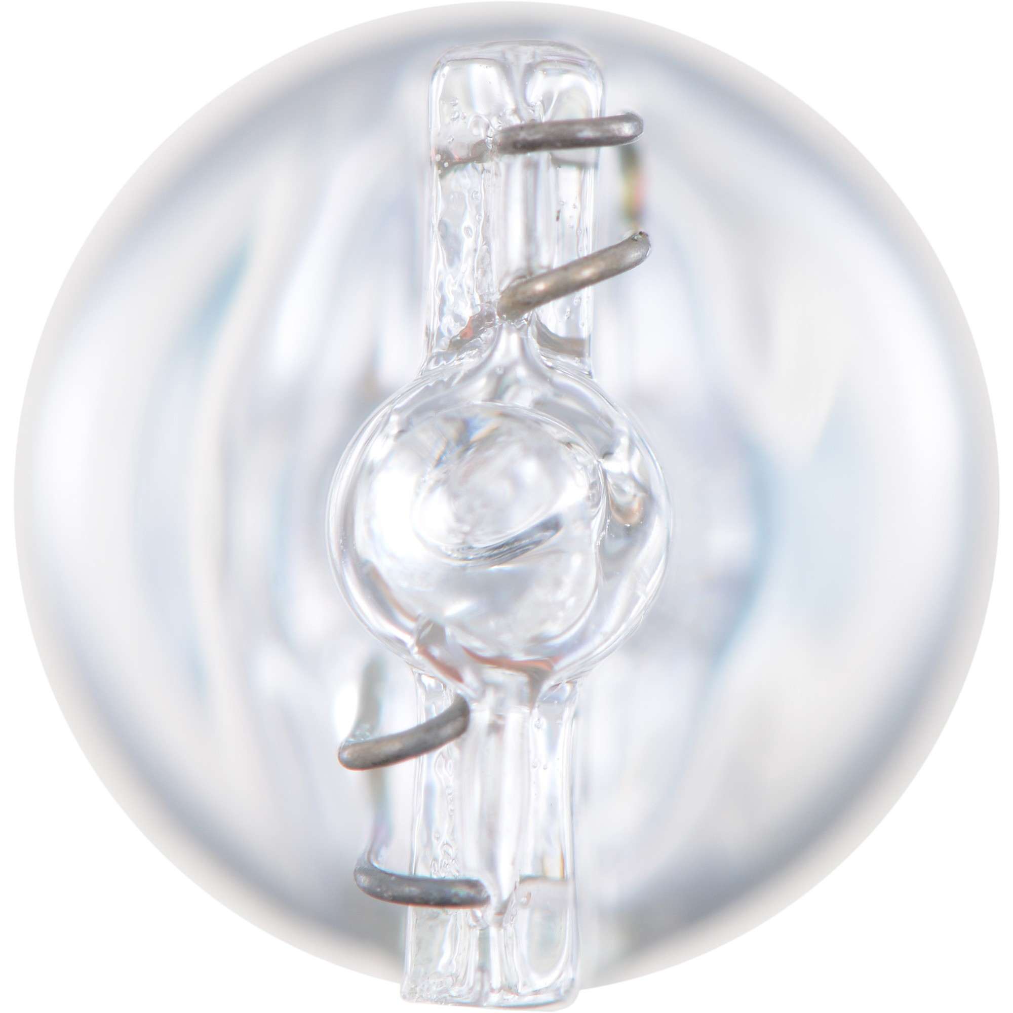 Philips Multi-Purpose Light Bulb 168LLB2