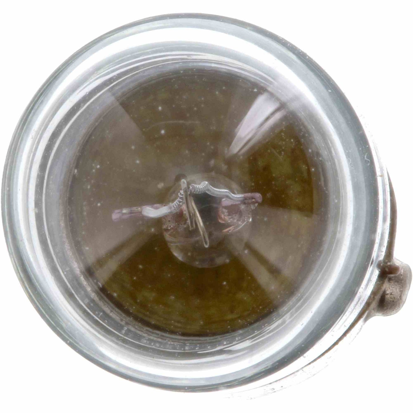 Philips Instrument Panel Courtesy Light Bulb 1816CP