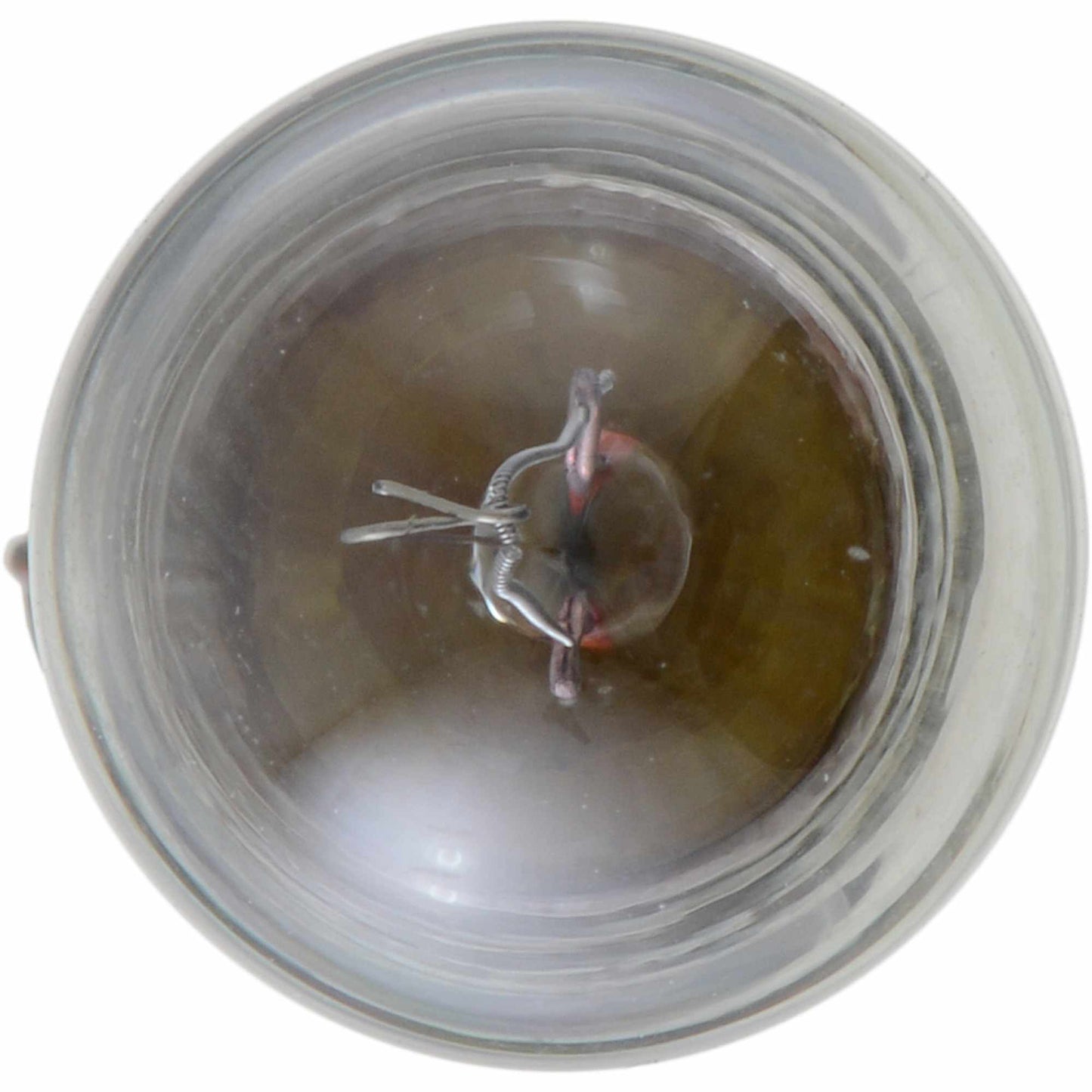 Philips Instrument Panel Light Bulb 1816LLB2