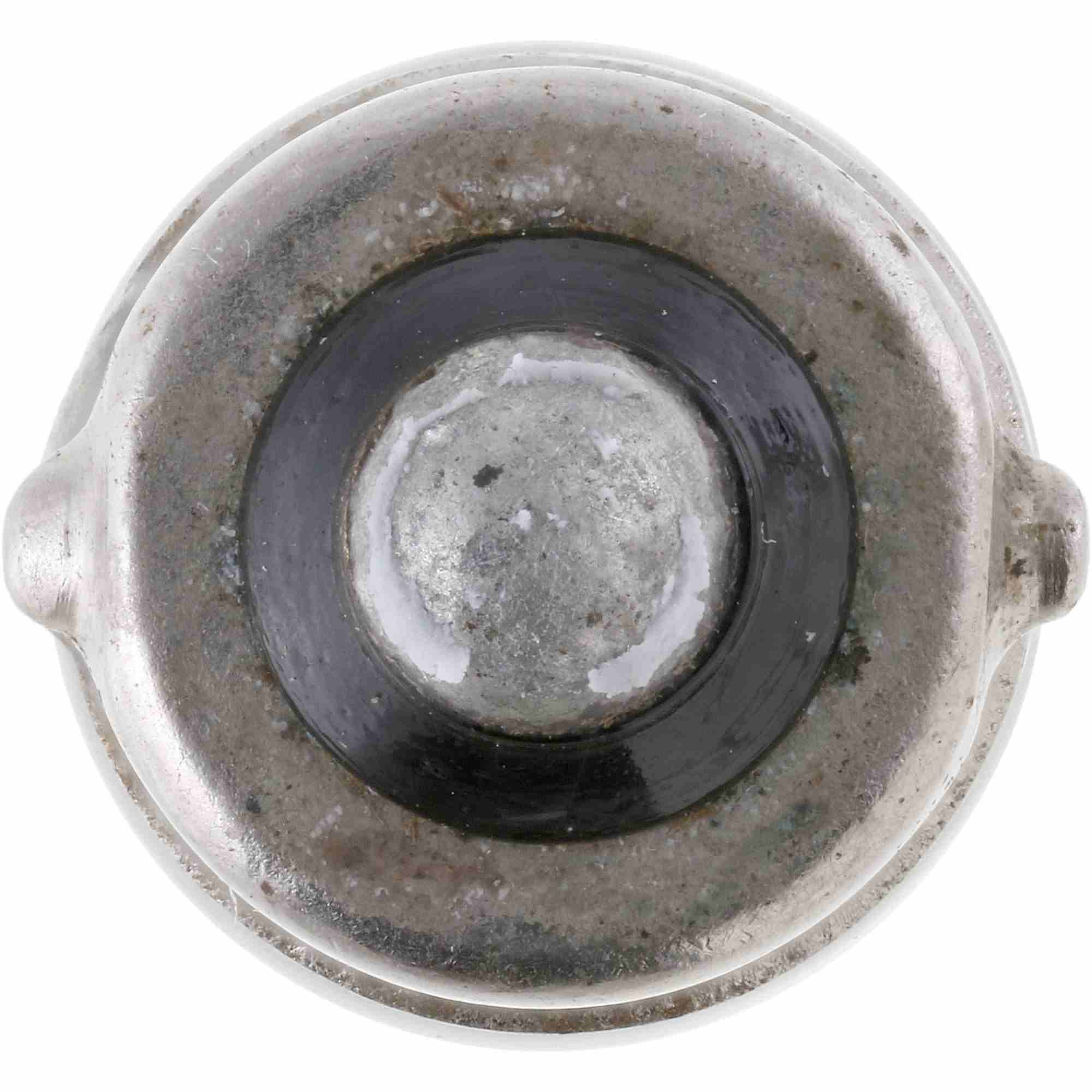 Philips Instrument Panel Light Bulb 1864CP