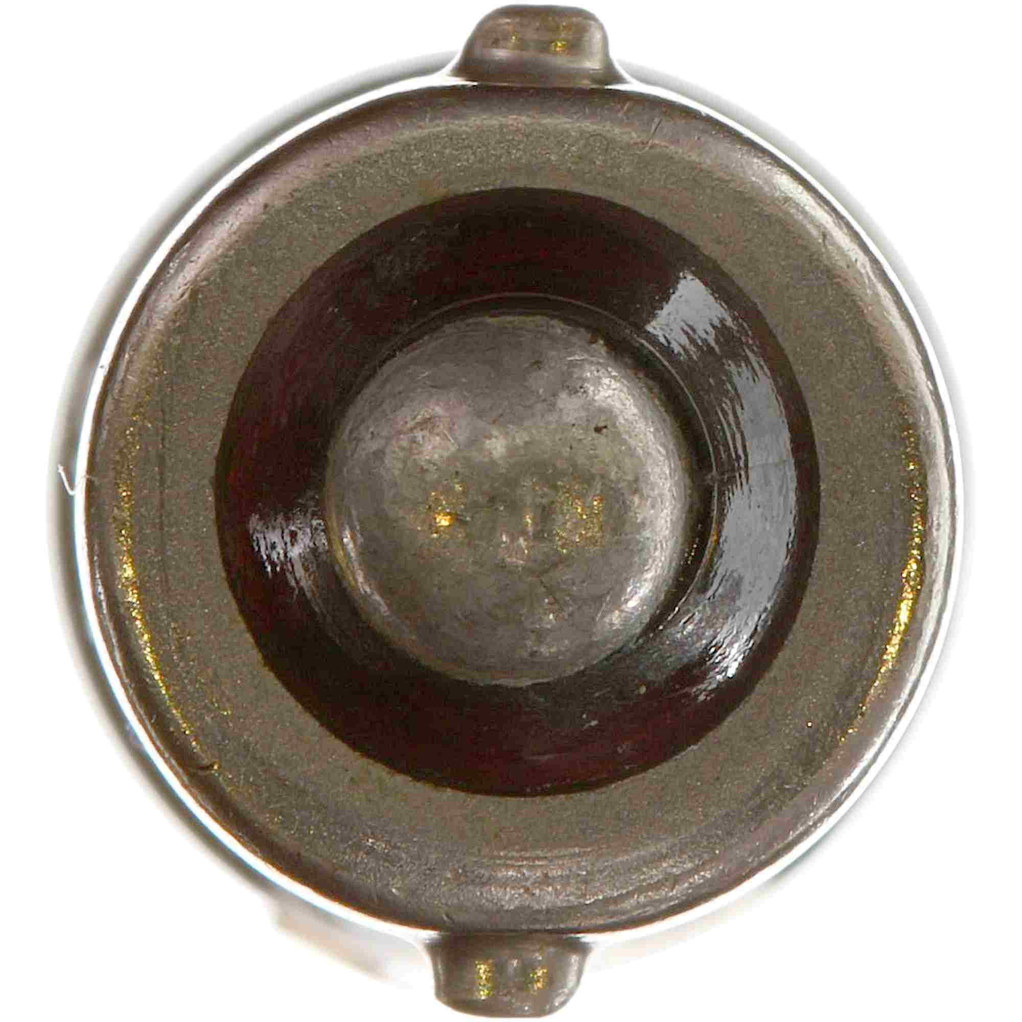 Philips Instrument Panel Light Bulb  top view frsport 1891B2