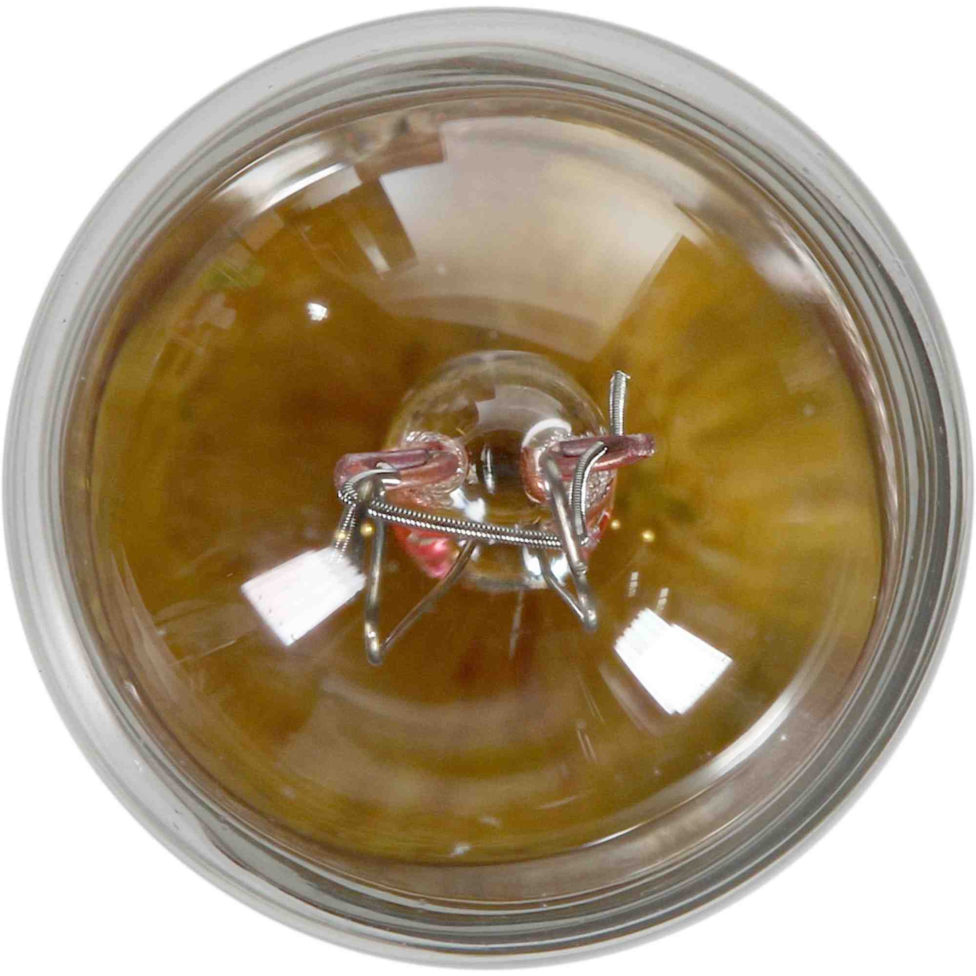 Philips Instrument Panel Light Bulb  top view frsport 1891B2