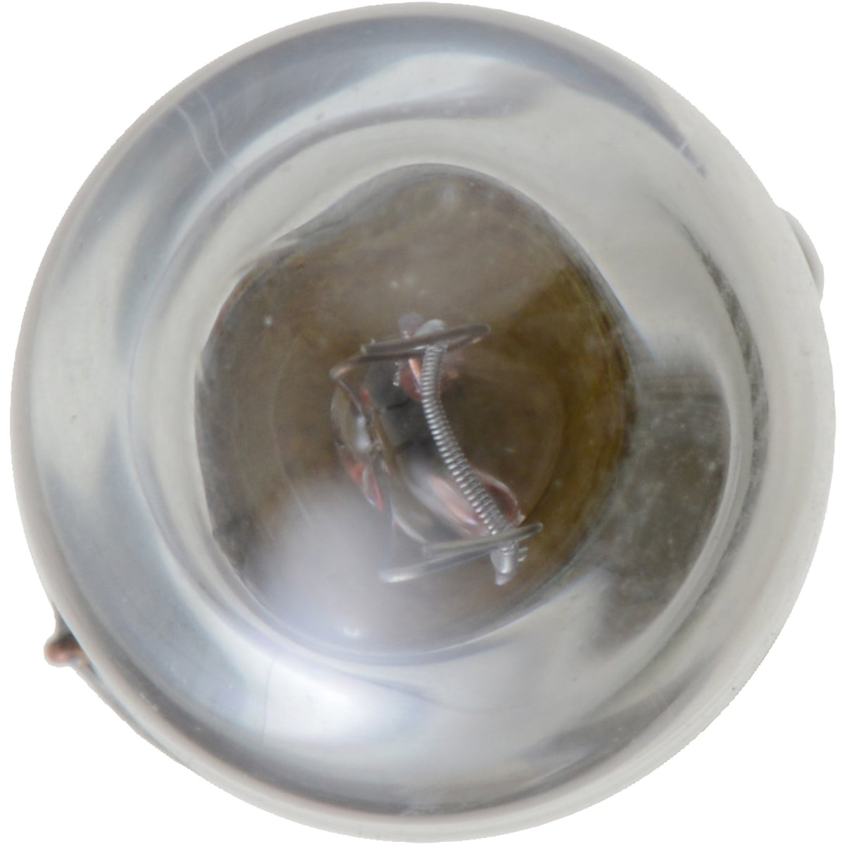 Philips Instrument Panel Light Bulb 1893LLB2
