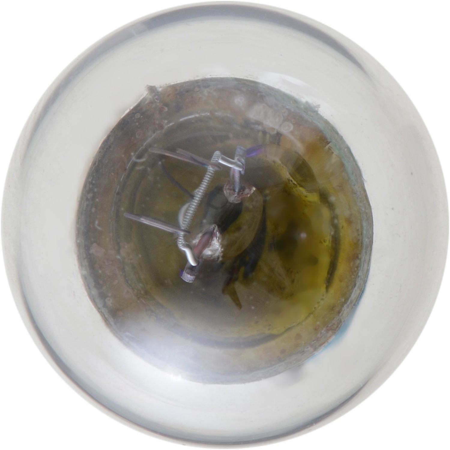 Philips Instrument Panel Light Bulb 1895LLB2