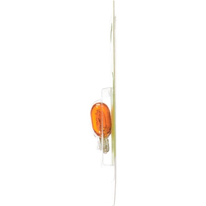 Philips Turn Signal Light Bulb 194NALLB2