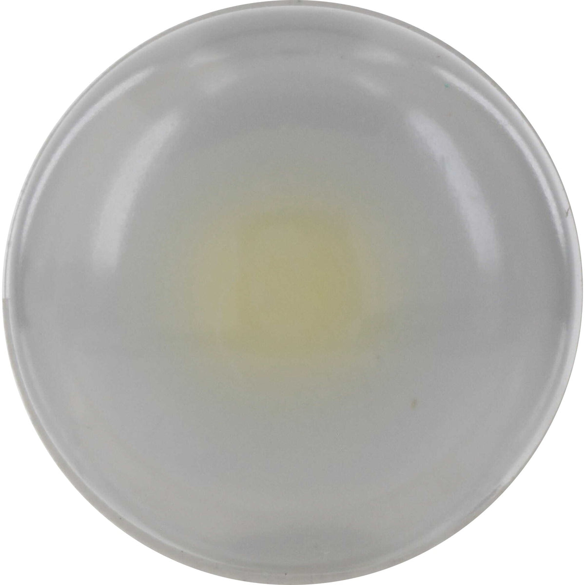 Philips Multi-Purpose Light Bulb 194WLED