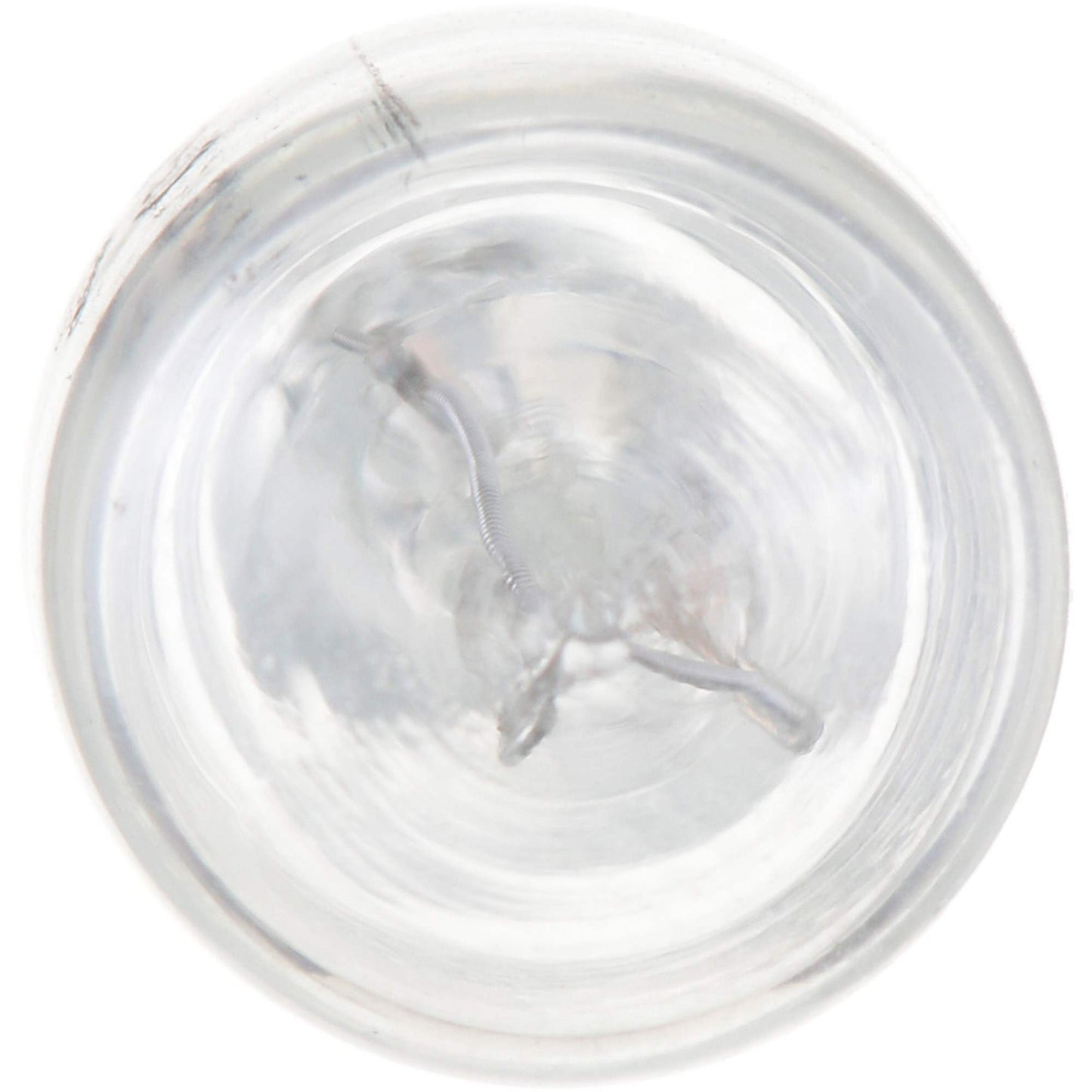 Philips Multi-Purpose Light Bulb 24B2