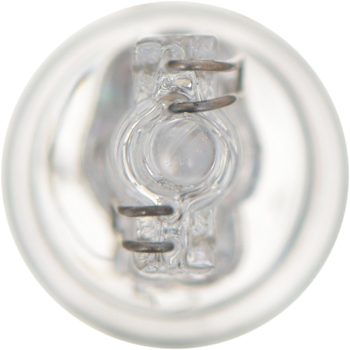 Philips Multi-Purpose Light Bulb 24CP