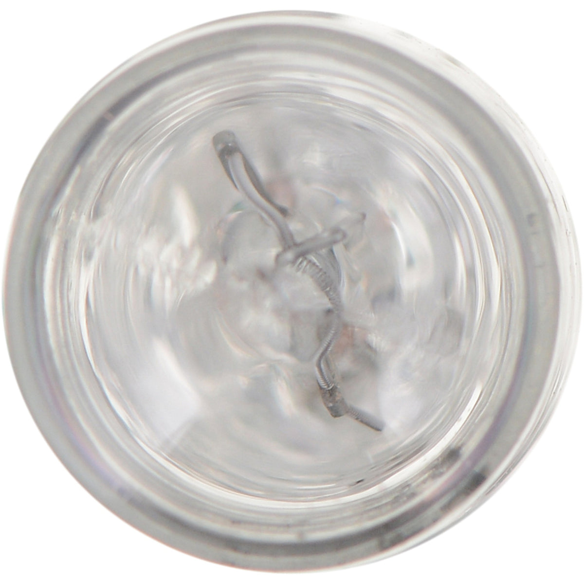 Philips Multi-Purpose Light Bulb 24CP