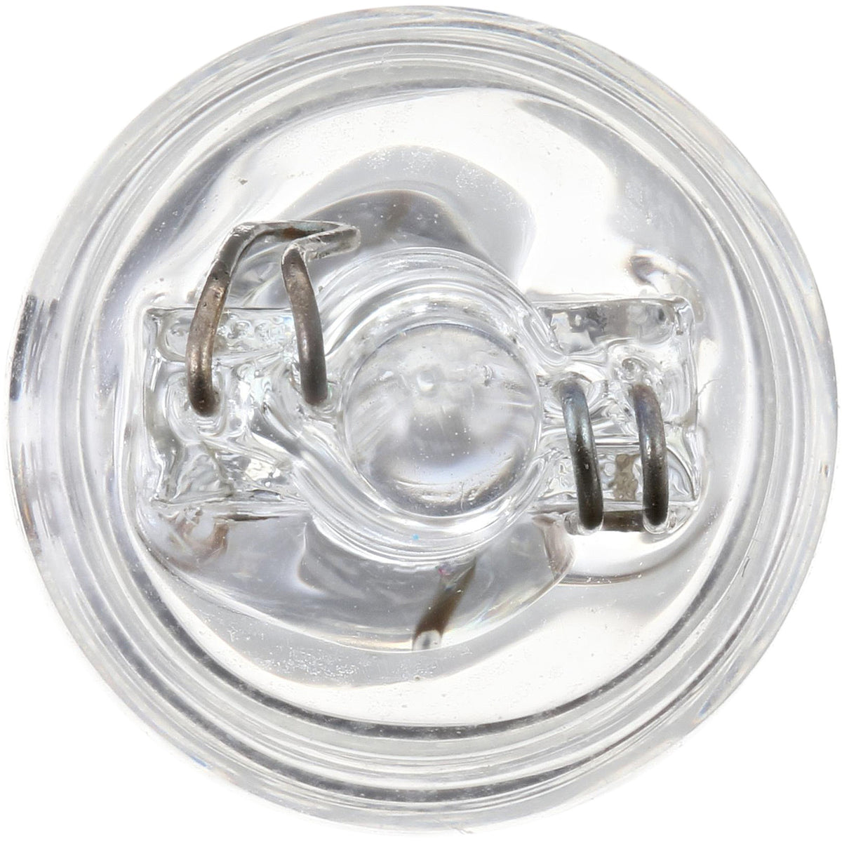 Philips Multi-Purpose Light Bulb 24LLB2
