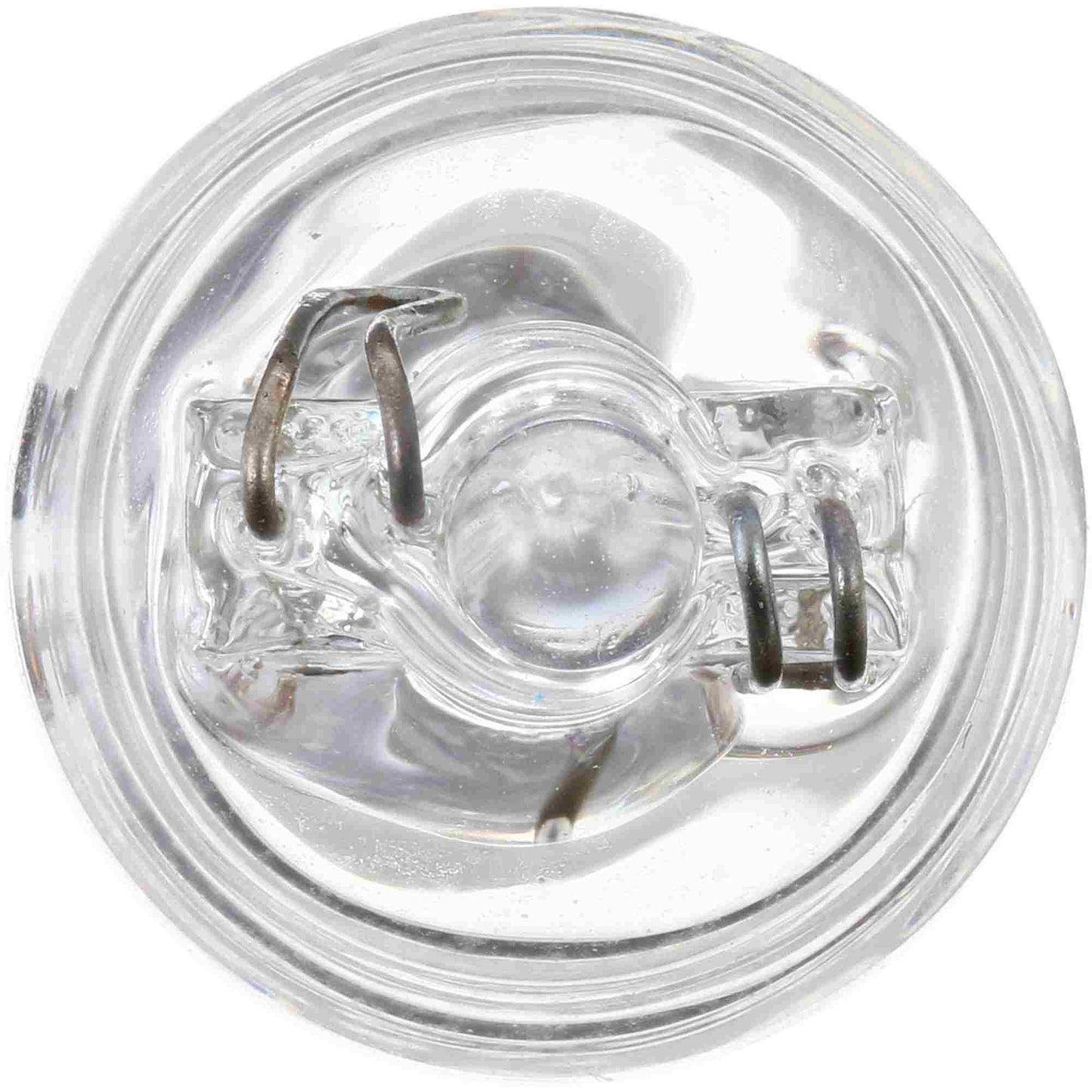 Philips Multi-Purpose Light Bulb 24LLB2