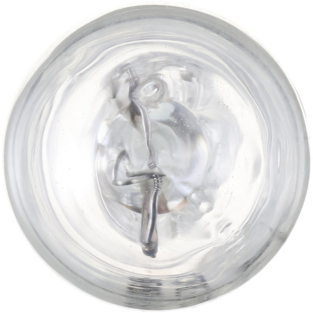 Philips Multi-Purpose Light Bulb 24LLB2