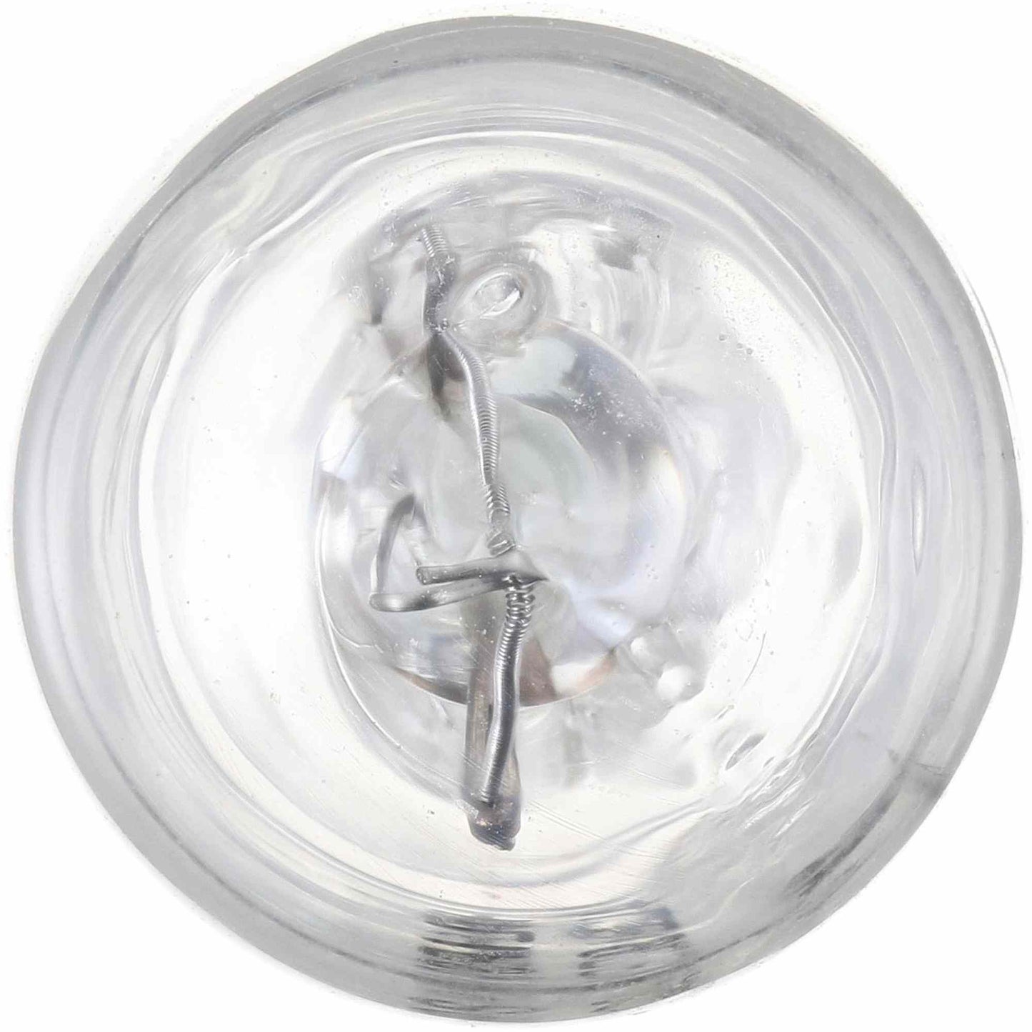 Philips Multi-Purpose Light Bulb 24LLB2