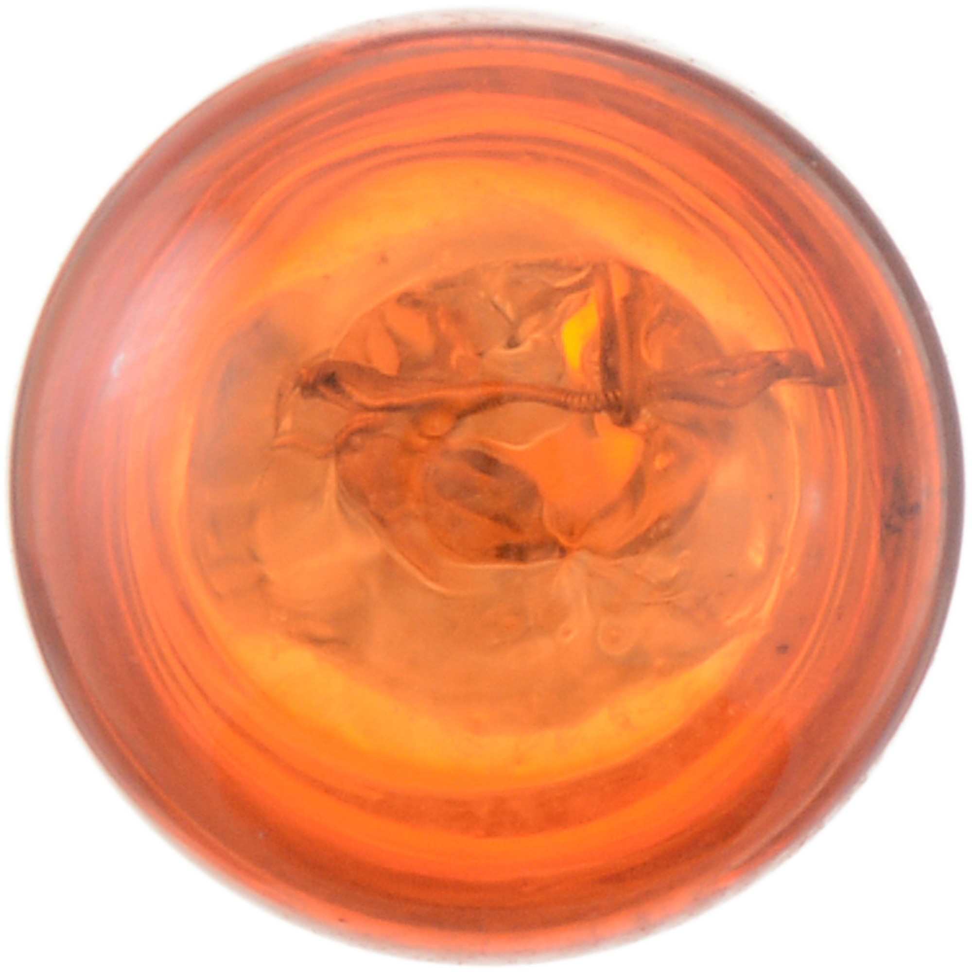 Philips Turn Signal Light Bulb 24NAB2