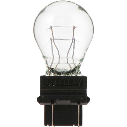 Philips Tail Light Bulb 3047LLB2