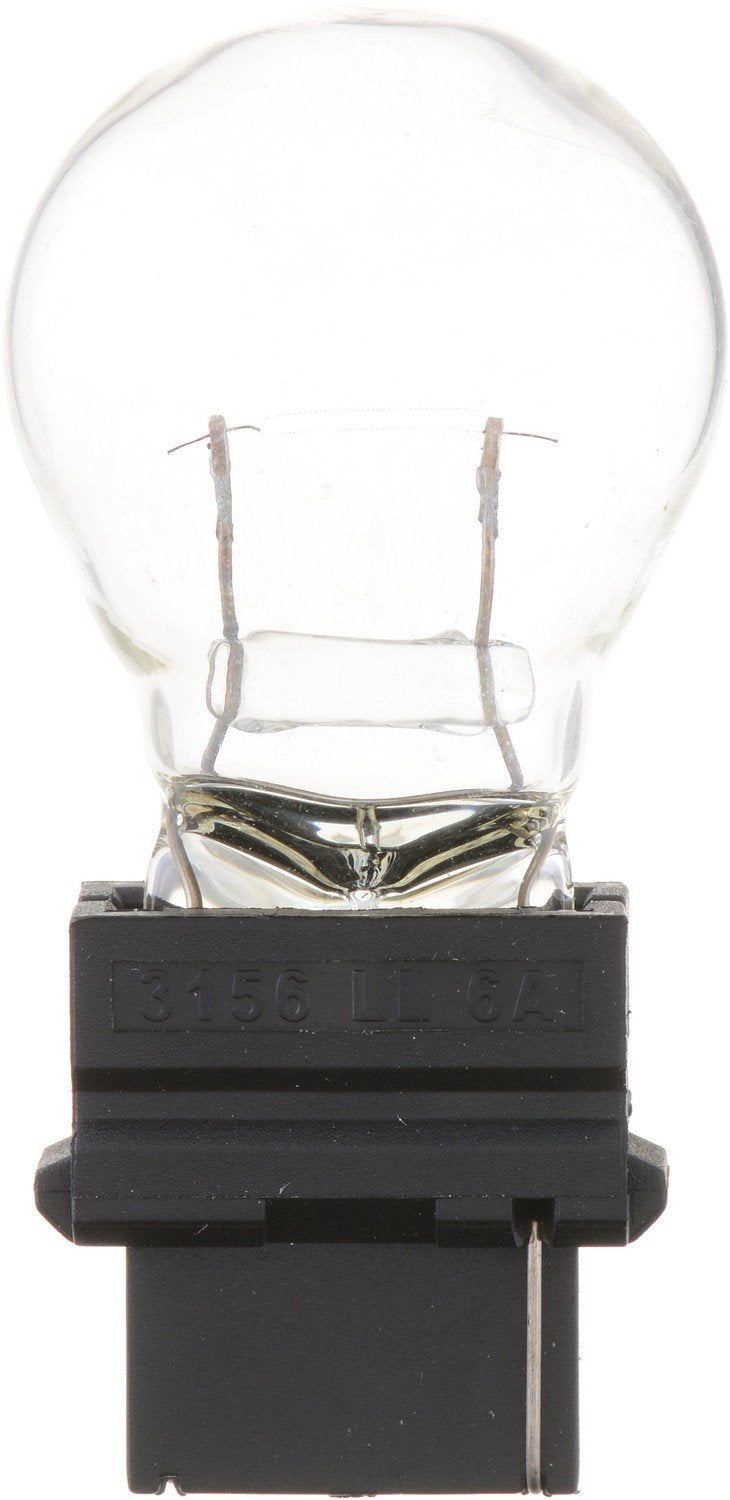 Philips Tail Light Bulb 3156LLB2