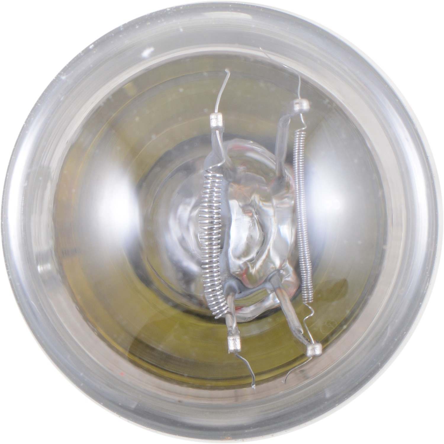 Philips Tail Light Bulb 3496LLB2